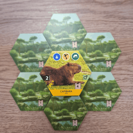 Dierenrijk (NL)