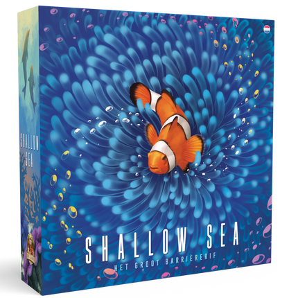 Shallow Sea (NL)