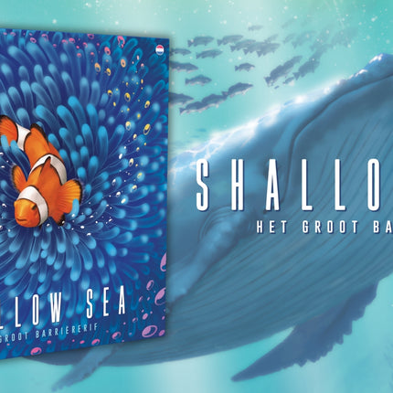 Shallow Sea (NL)
