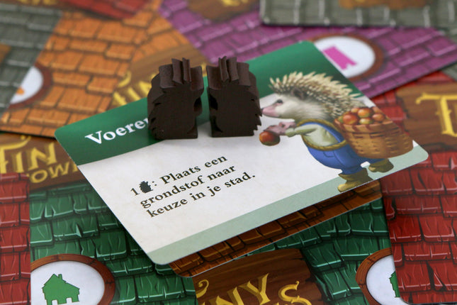 Tiny Towns Experts (Uitbreiding) (NL)