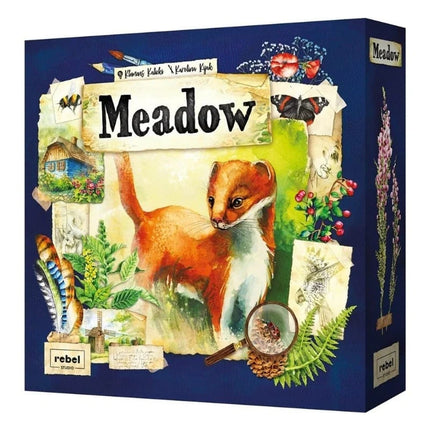 Meadow (NL)