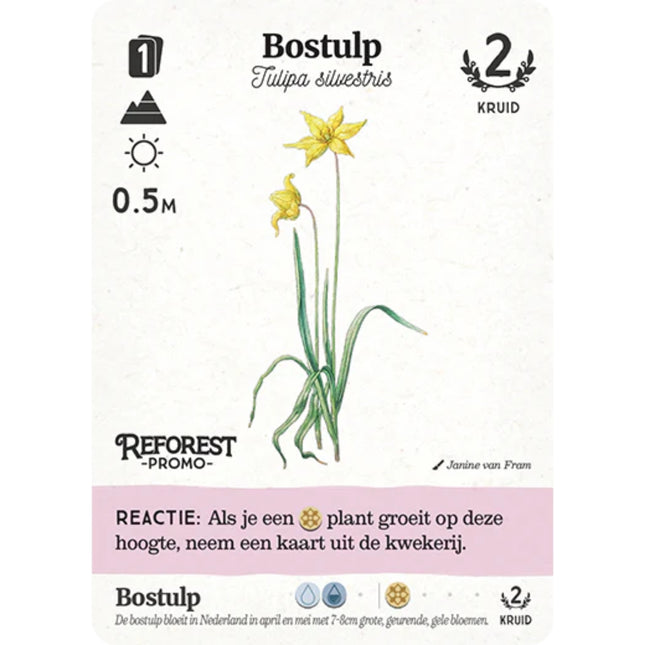 Reforest: Oerbos (NL)